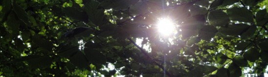 Energy Healing Healing Sessions with Anne-Chantal Misson