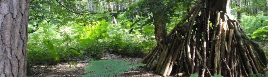 What to expect from a Body Psychotherapy Session with Anne-Chantal Misson