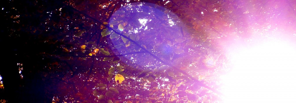 Energy Healing Healing Journey with Anne-Chantal Misson